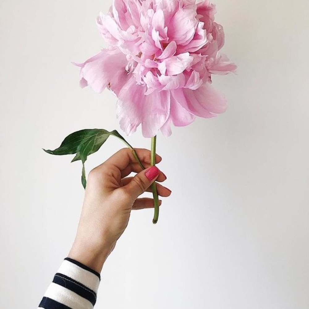 Make An Offer 🌸
